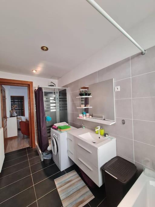Grand Appart - Avec Terrasse Remeš Exteriér fotografie